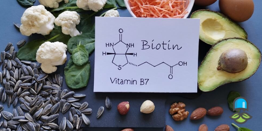 منابع اصلی و طبیعی ویتامین B7